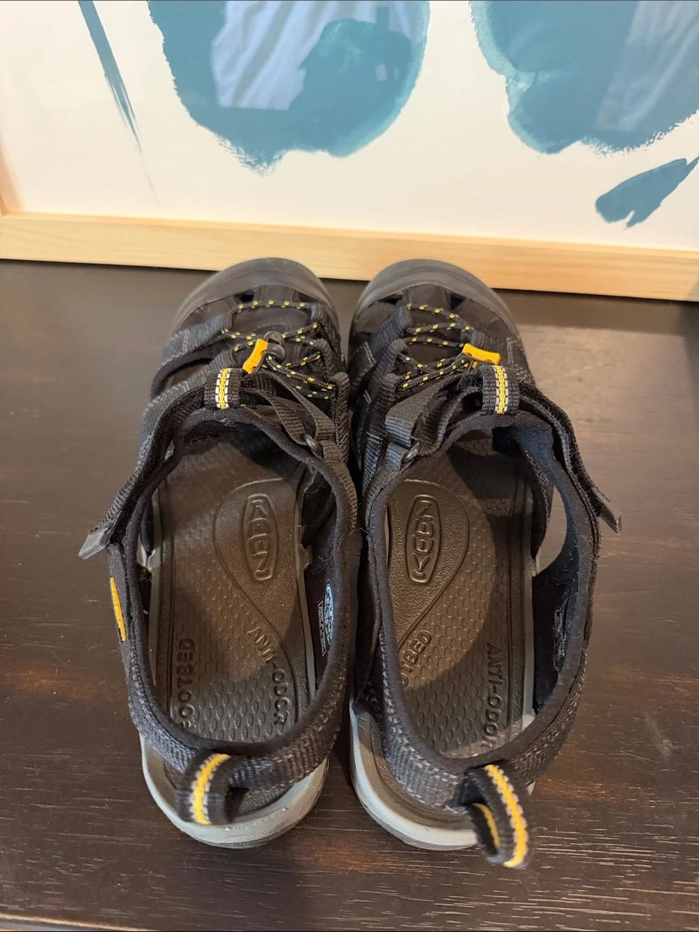 Keen Newport H2 Sandal Men’s